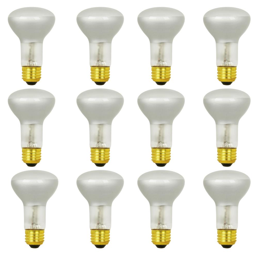 Feit Electric 40Watt Halogen G9 Light BulbBPQ40/G9 The Home Depot