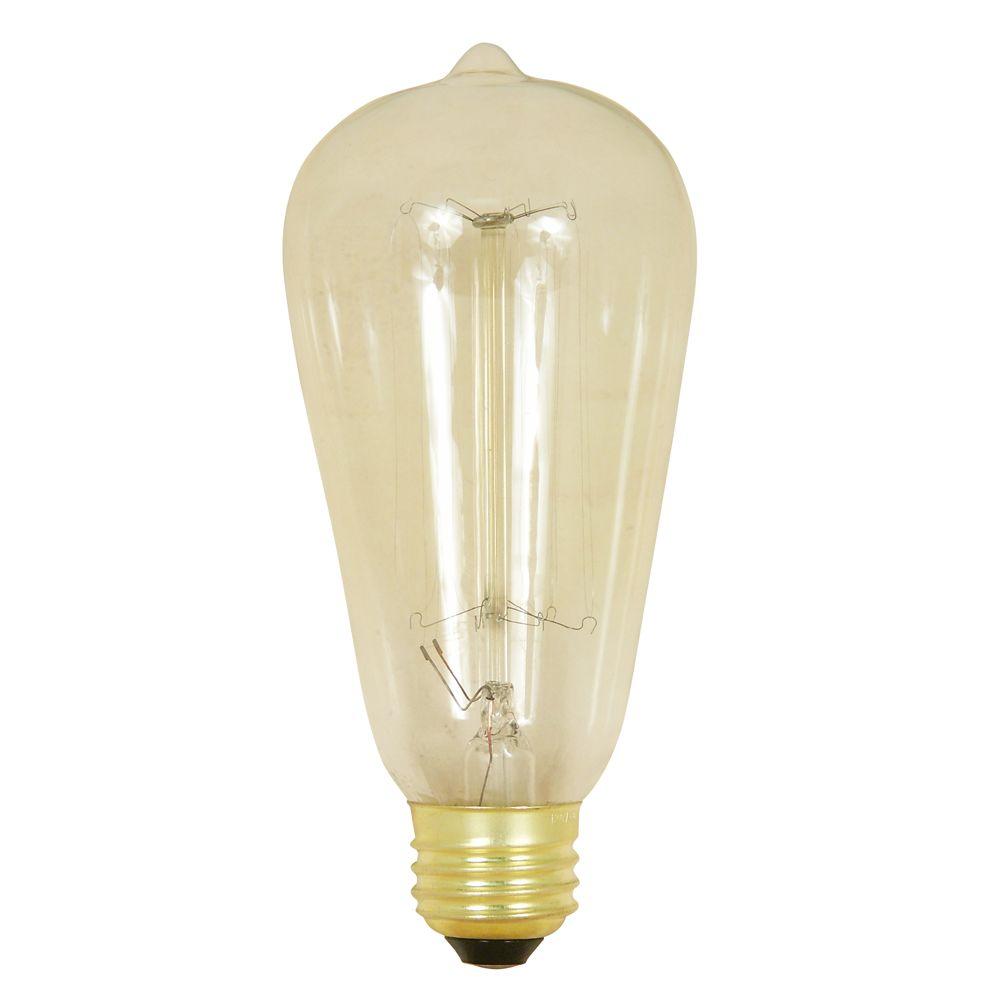 Vintage Light Bulbs Home Depot Archipelago 40w Equivalent Warm ...