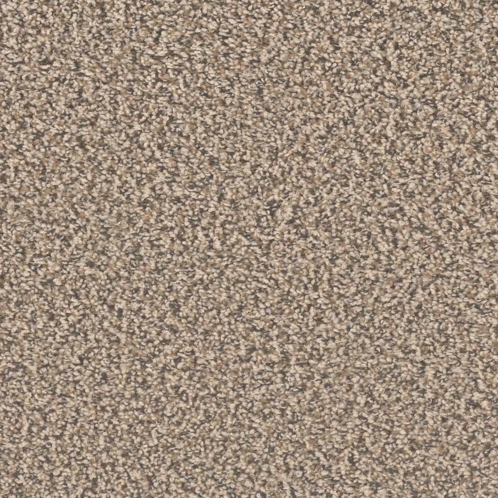 Hypoallergenic Indoor Carpet The Home Depot Promenade