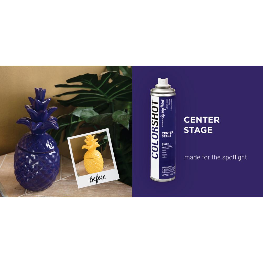 Colorshot 10 Oz Gloss Center Stage Purple General Purpose Aerosol