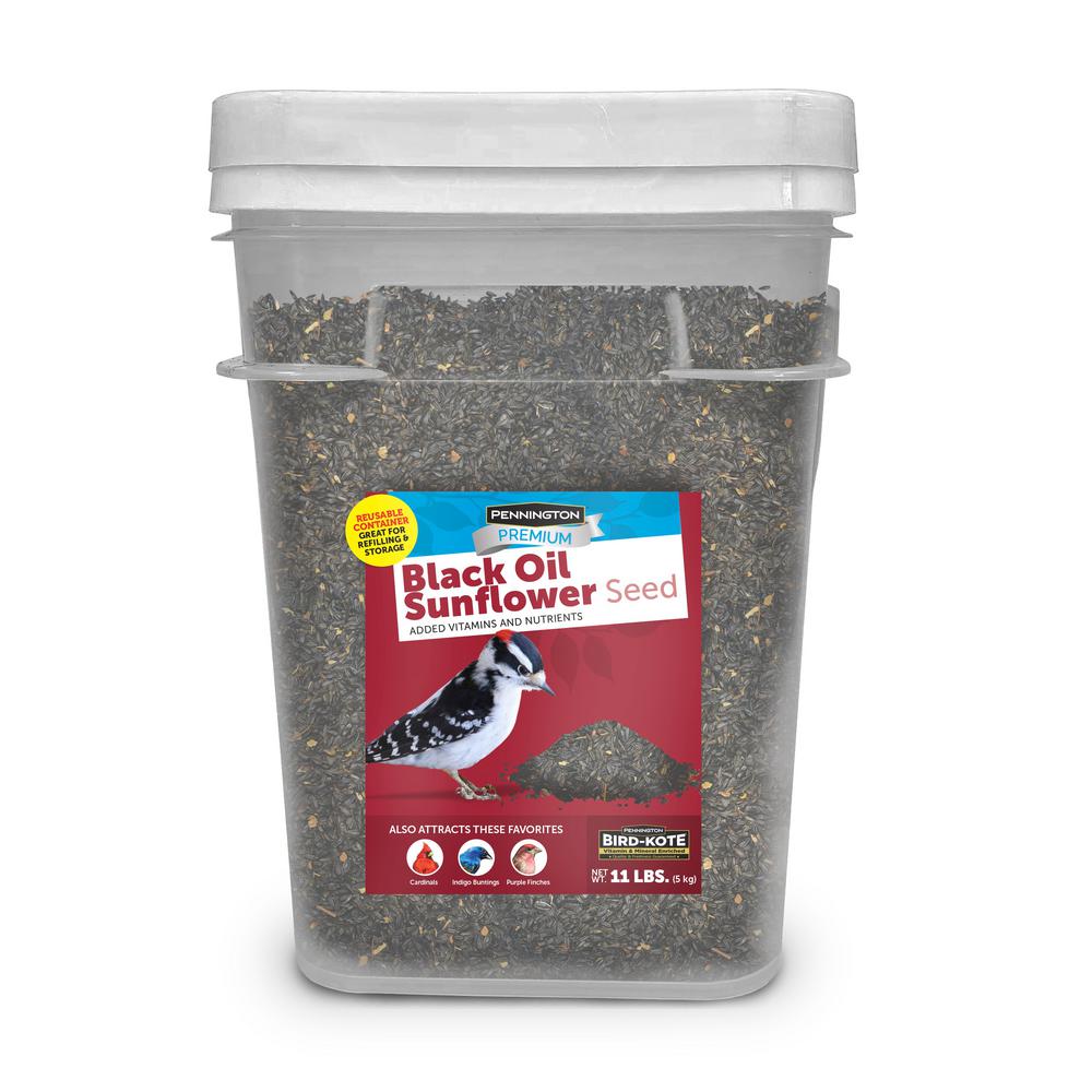 Reviews for Pennington 11 lbs. Premium Black Oil Sunflower Bird Seed