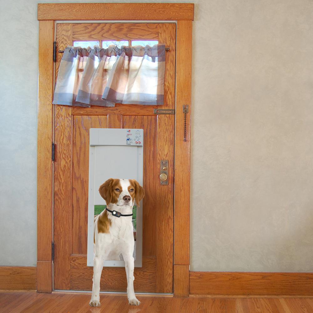 doggy door with electronic collar