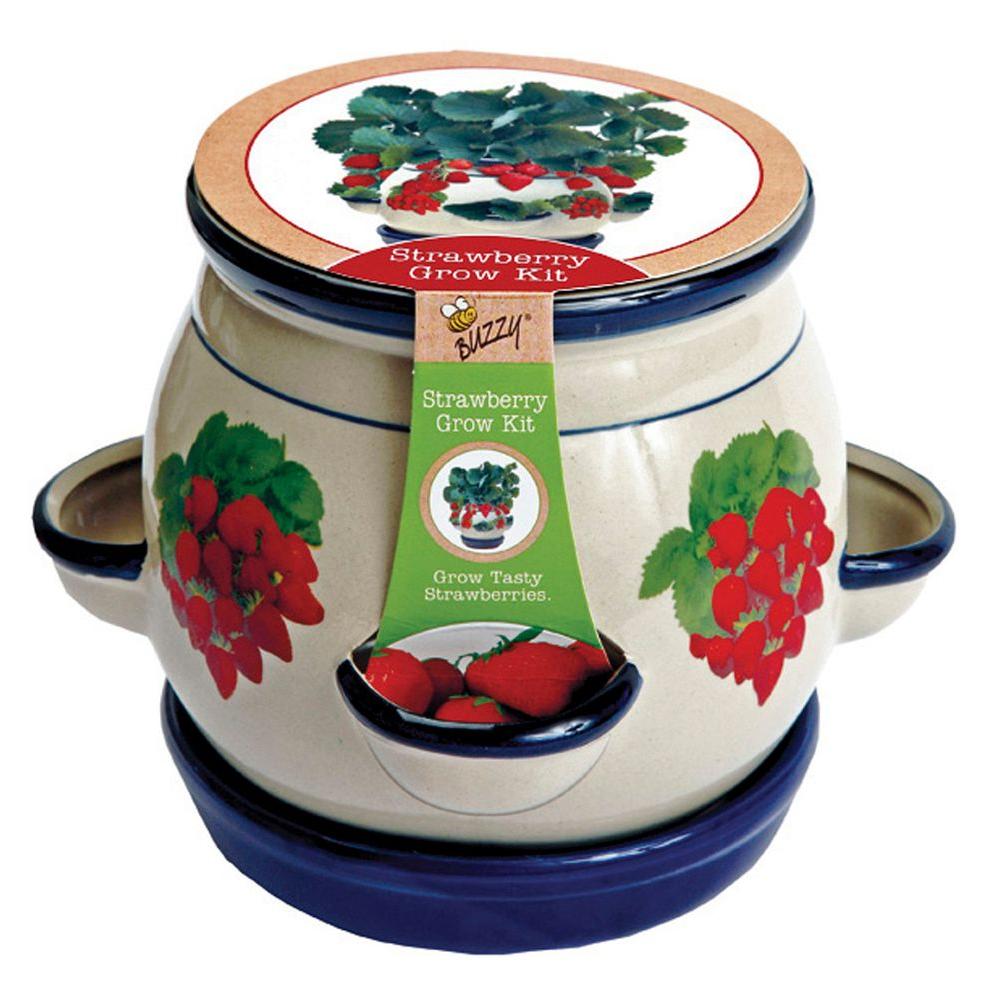Buzzy Strawberry Grow Kit94449 The Home Depot