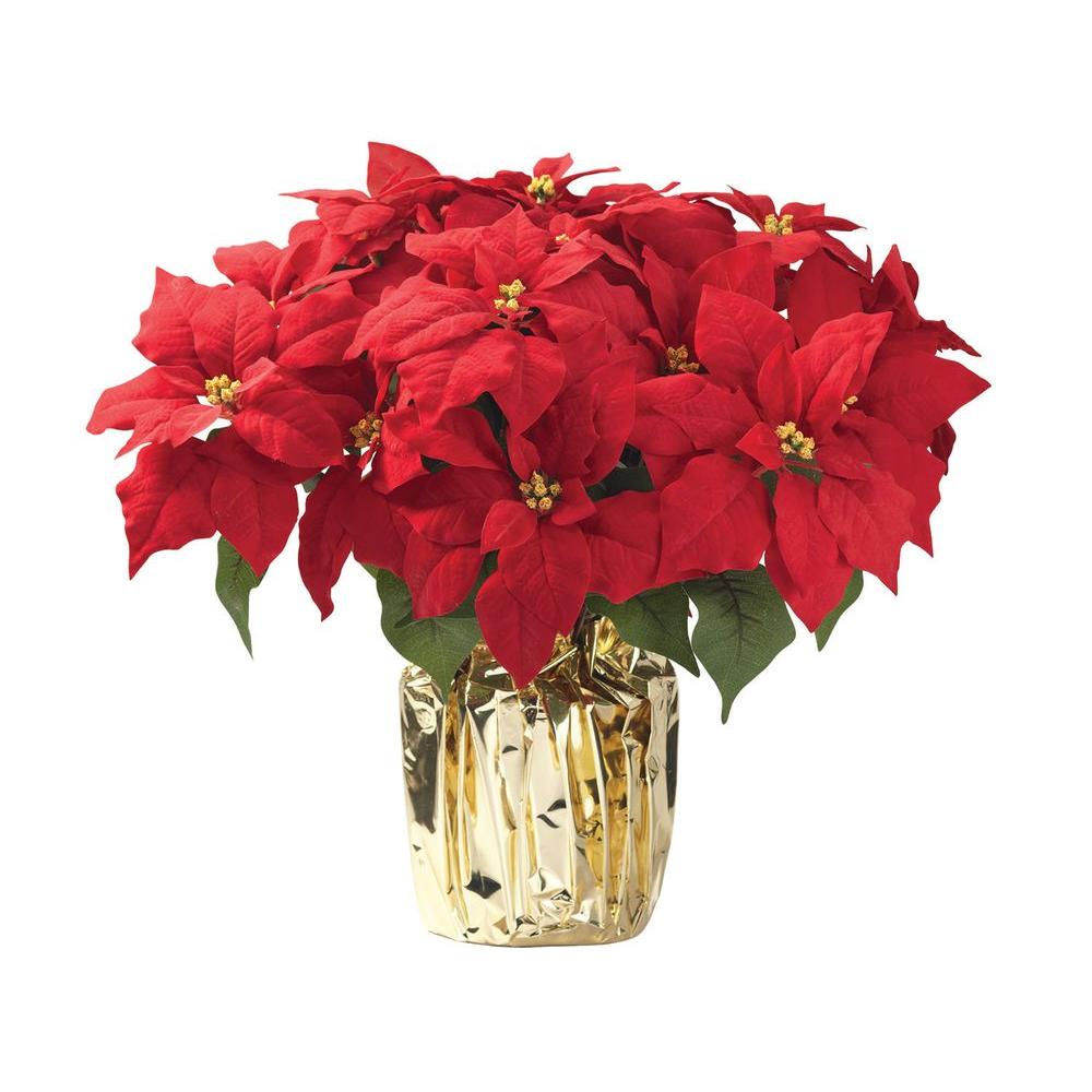 6 in. Live PoinsettiaPOIN2013PROMO The Home Depot