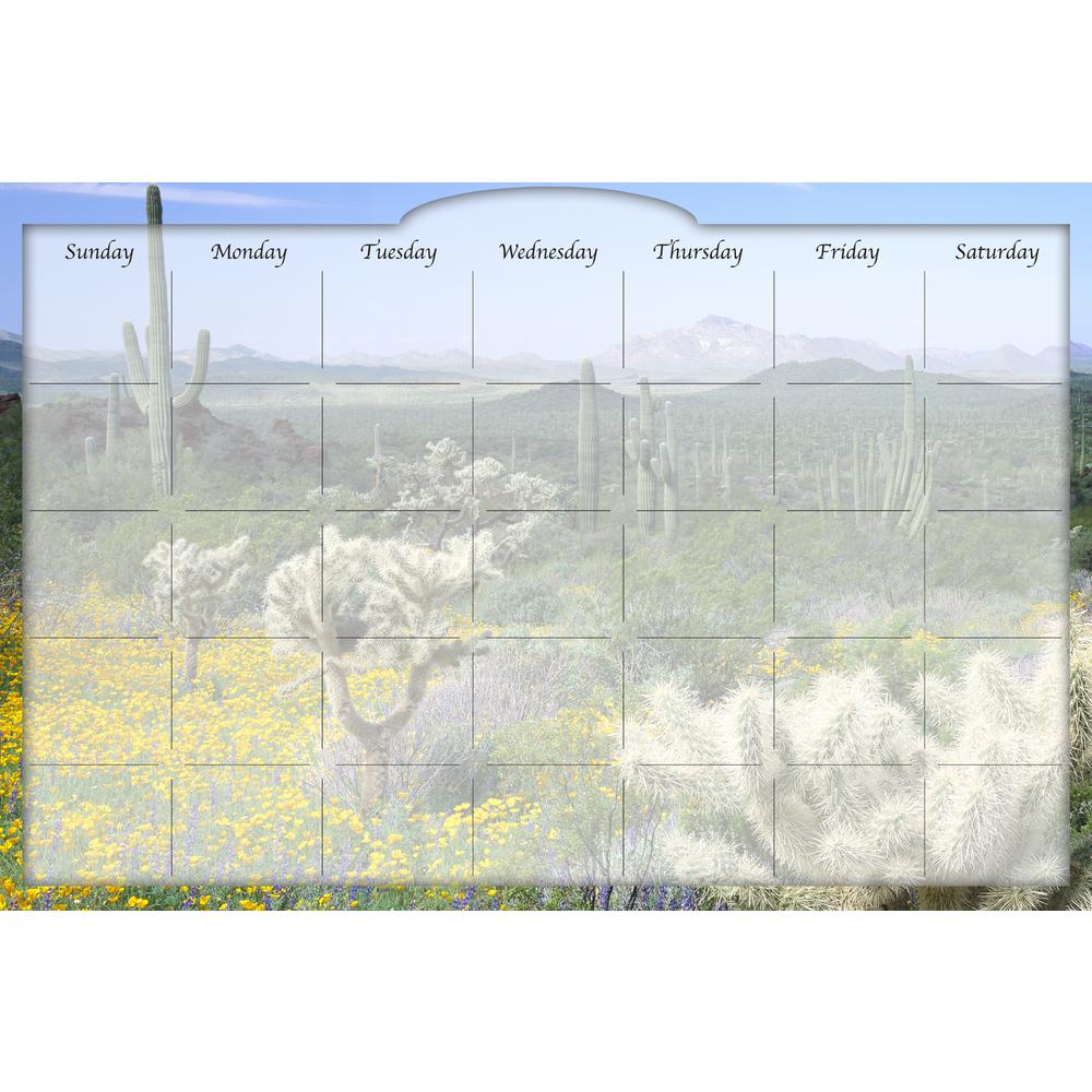 Biggies Multi Color 36 in. x 24 in. Water Wheel Dry Erase Stickie