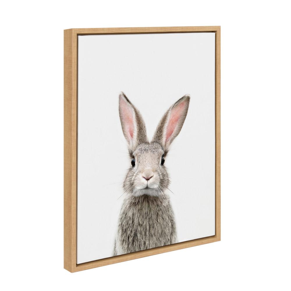Kate And Laurel Sylvie Animal Studio Female Rabbit By Amy Peterson Framed Canvas Wall Art 216341 The Home Depot
