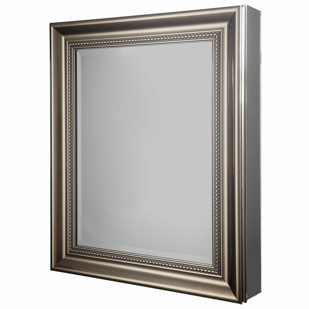 Glacier Bay 24 in W x 30 in H Framed Recessed  or Surface 