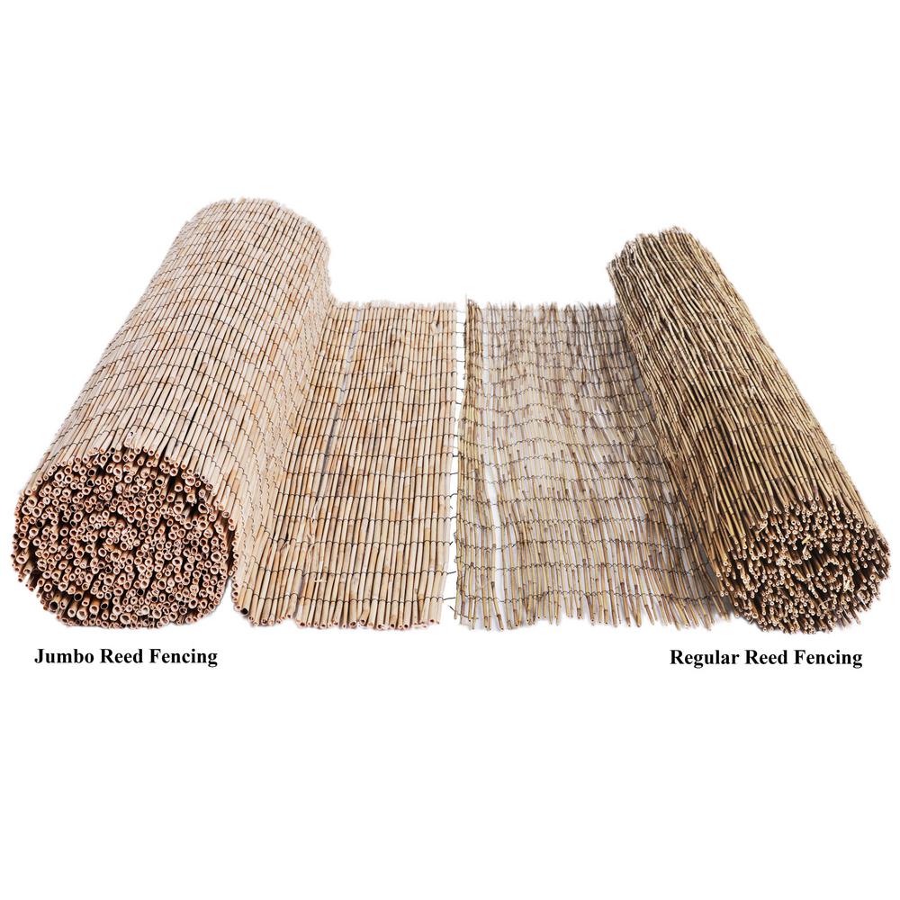 Backyard X Scapes 6 Ft H X 16 Ft L Natural Jumbo Reed Bamboo