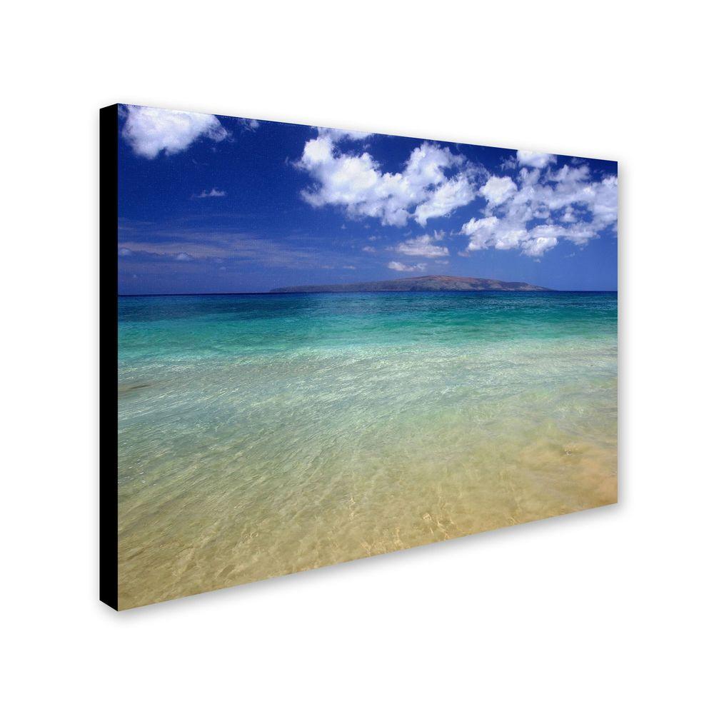 Trademark Fine Art 22 in. x 32 in. Hawaii Blue Beach Canvas Art-PL0038 ...