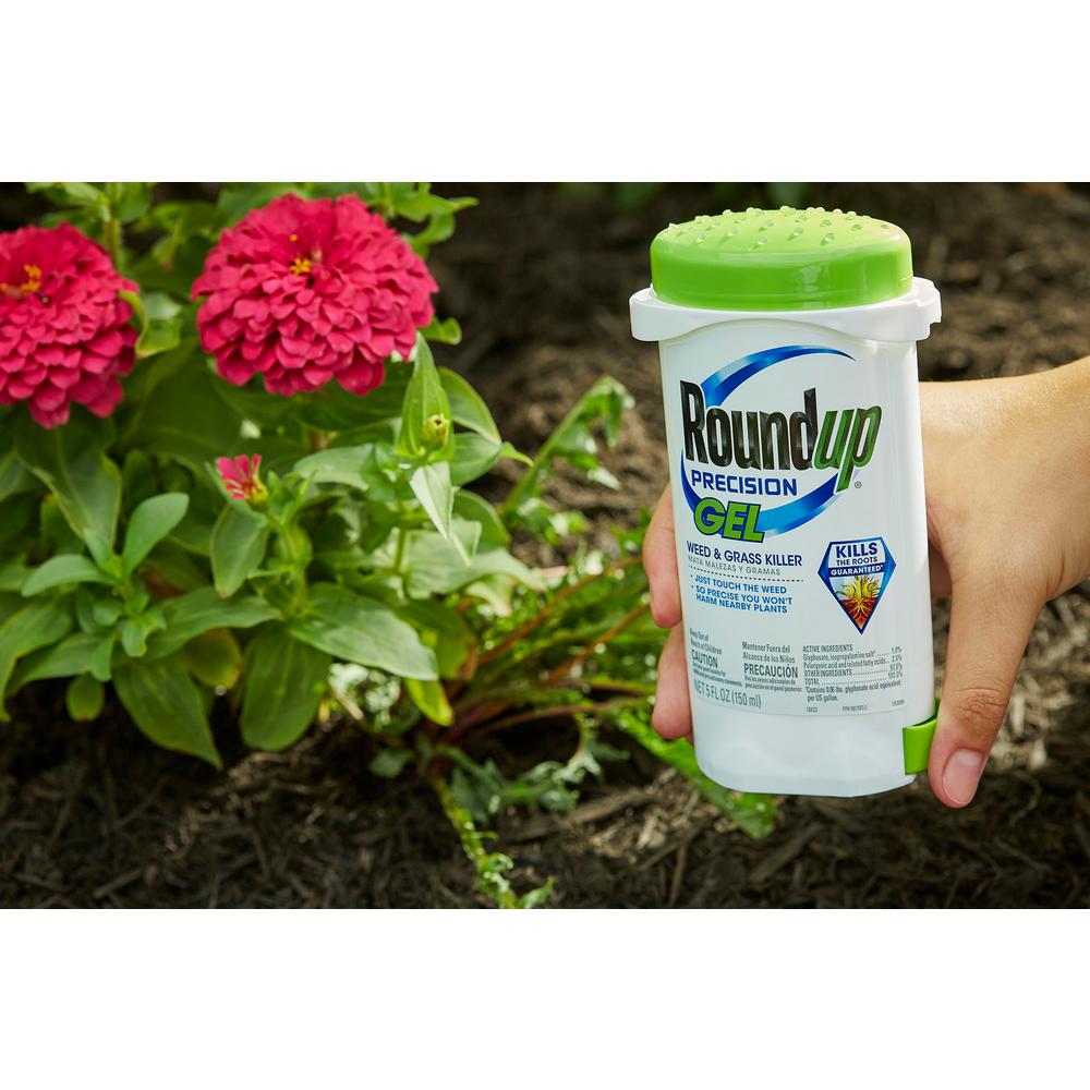 Roundup Precision Gel 5 Oz Weed And Grass