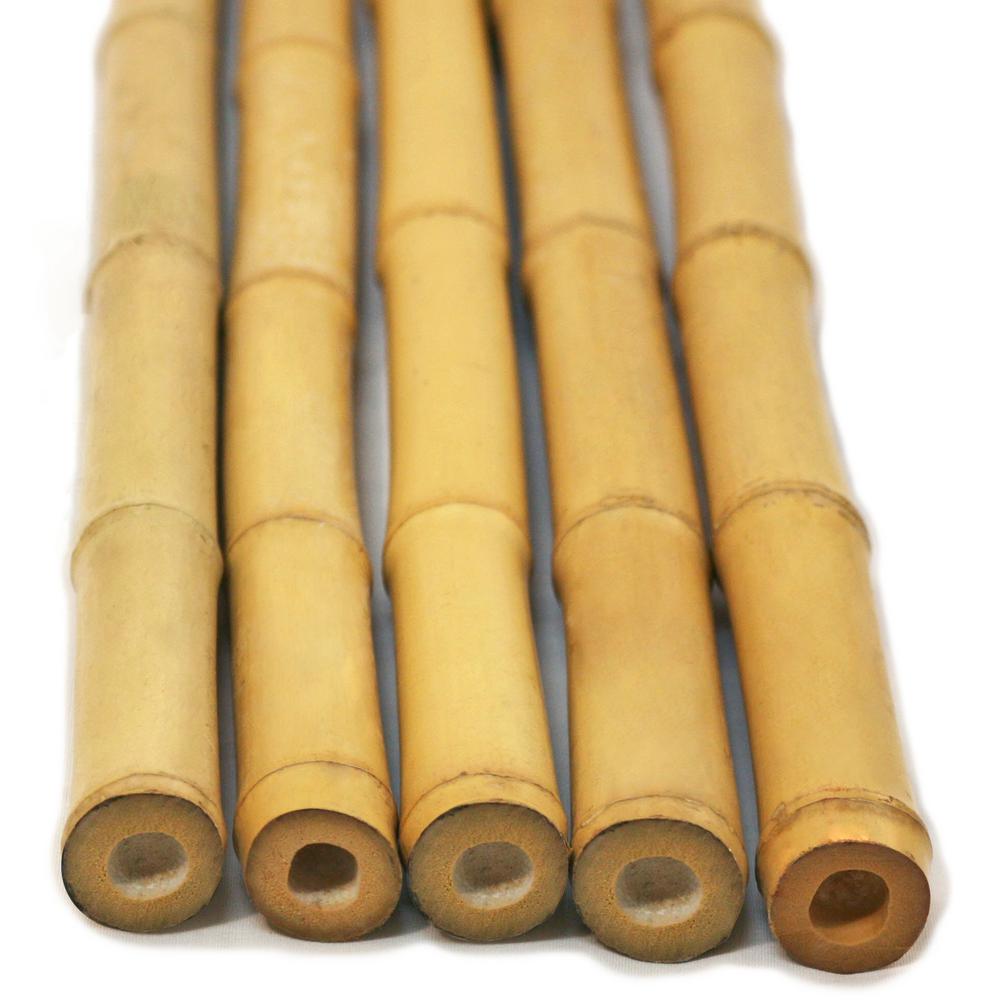 Backyard X-Scapes 2 in. D x 8 ft. H Natural Bamboo Poles (10-Piece ...