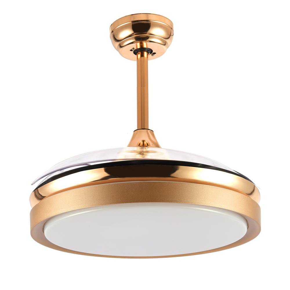 36 in. LED French Gold Retractable Ceiling Fan with Light ...