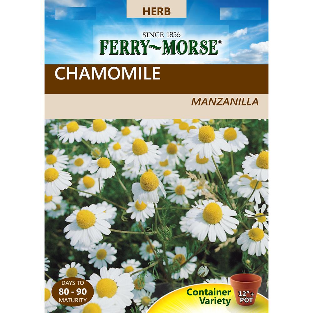 The smart Trick of When To Start Chamomile Seeds That Nobody is Talking About