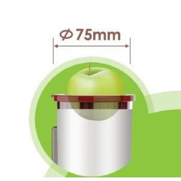 heaven fresh juicer