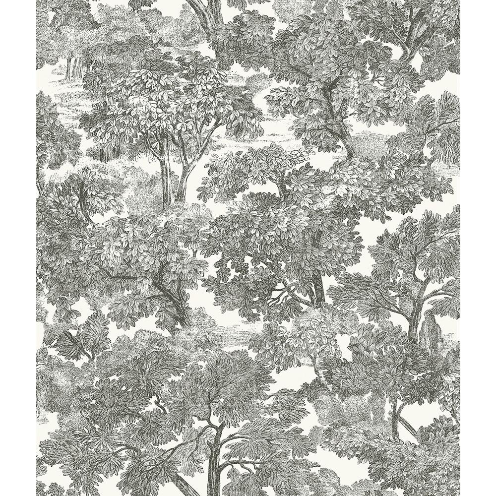 Chesapeake 8 In X 10 Spinney Black Toile Wallpaper Sample 3115 Spinney Black Toile Wallpaper Sample