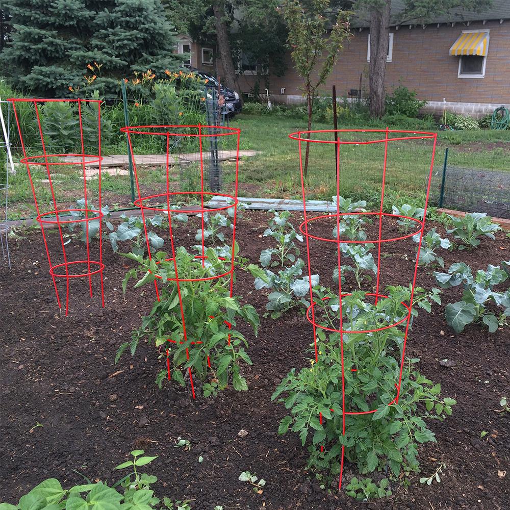 54 in. HeavyDuty Red Tomato Cage Garden Decorate Plants Flowers Vegetables DIY 99713050488 eBay
