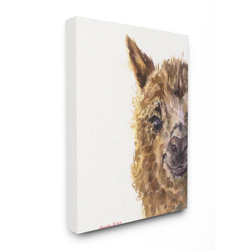 Stupell Industries 36 In X 48 In Baby Llama Head By George Dyachenko Canvas Wall Art Aap 346 Cn 36x48 The Home Depot