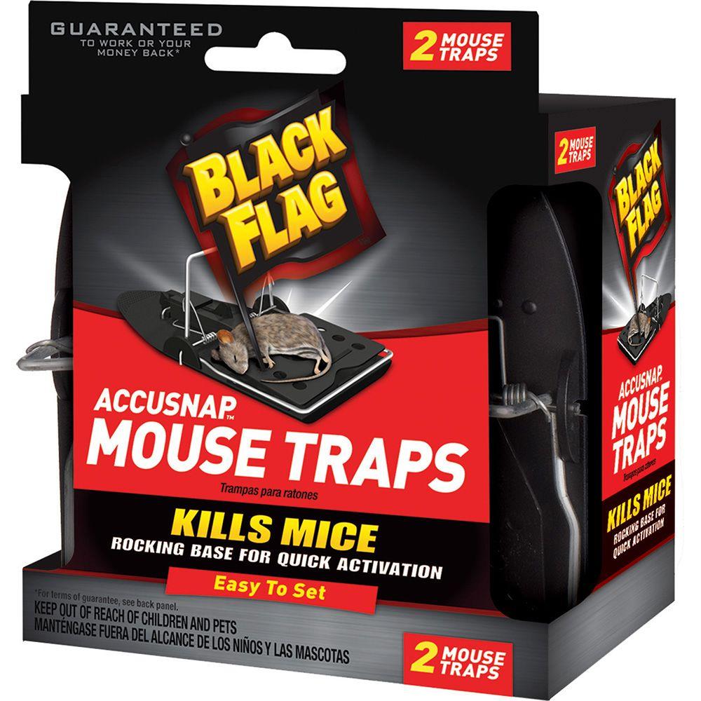 Black Flag Plastic Snap Mouse Trap (2-Pack)-HG-11050 - The Home Depot