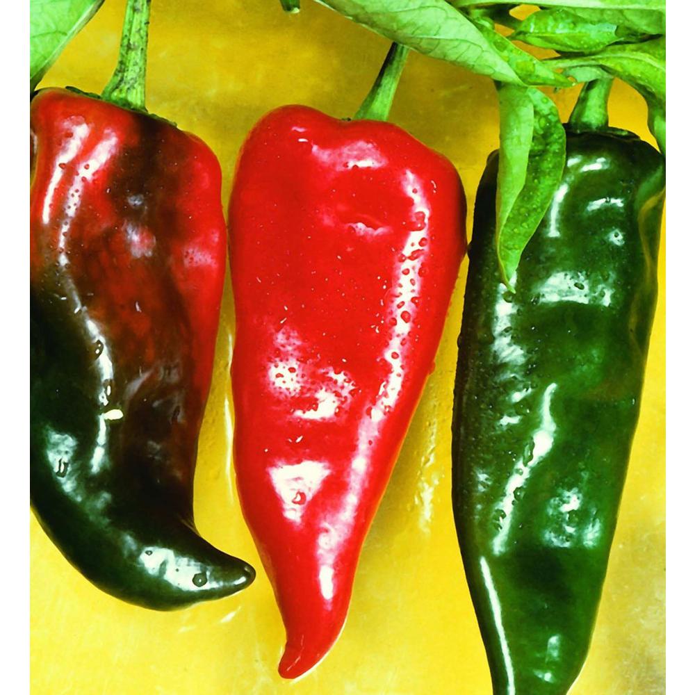 Bonnie Plants 19.3 Anaheim Pepper Plant2701 The Home Depot