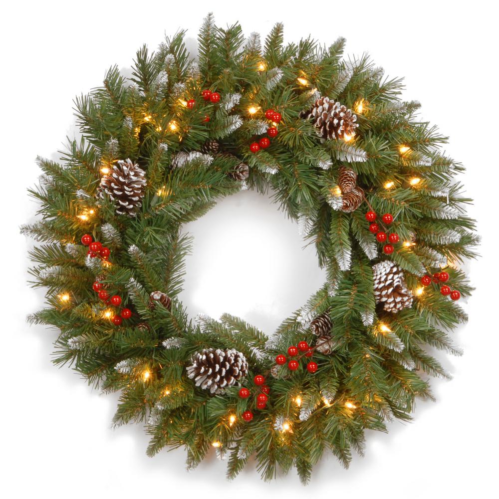 National Tree FRB-24WLO-1 Frosted Berry Wreath with 50 Clear UL-Lights, 24-Inch