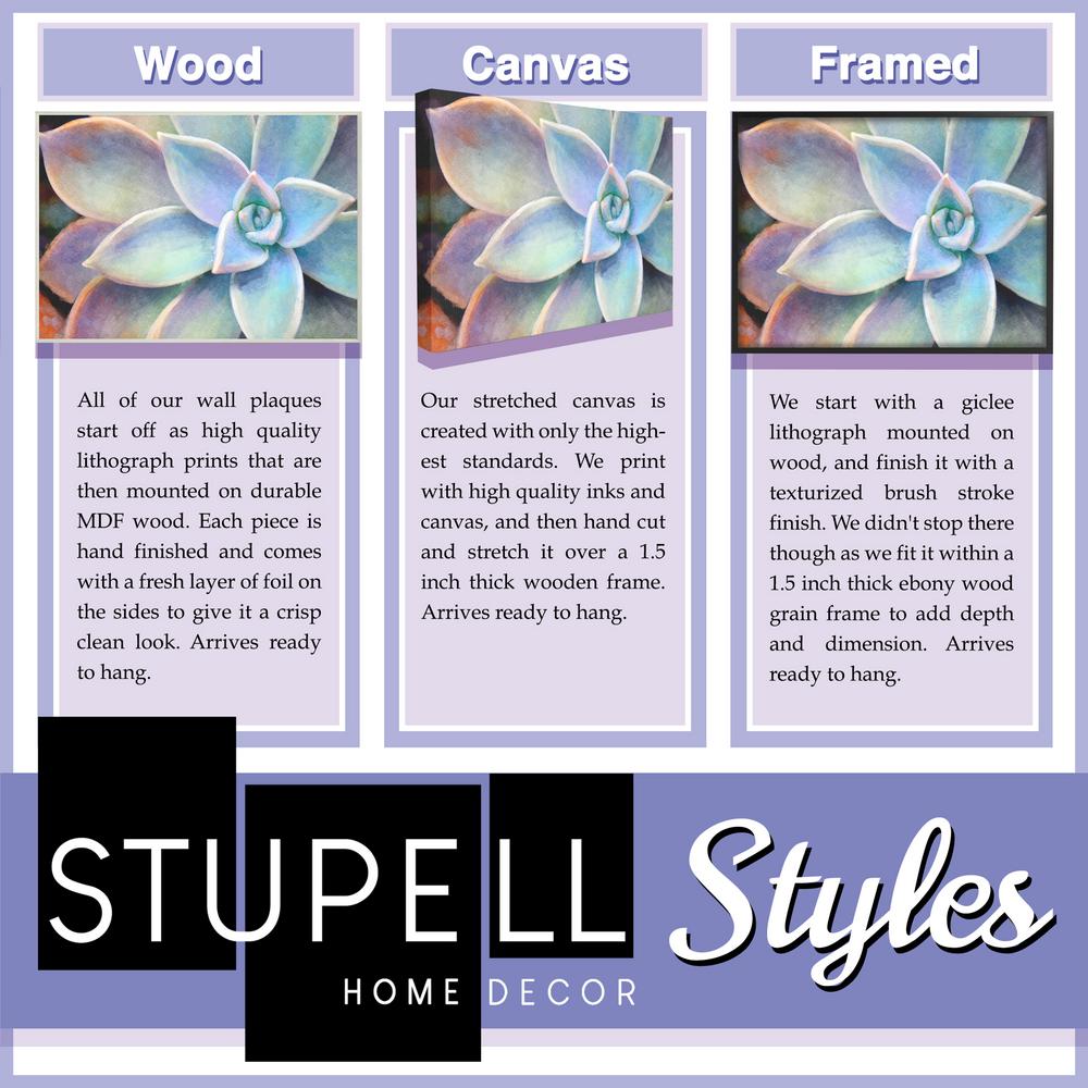 The Stupell Home Decor Collection 16 In X 20 In Succulent Plant Vibrant Bloom Painting By Joshua Chace Framed Wall Art Ccp 242 Gff 16x20 The Home Depot