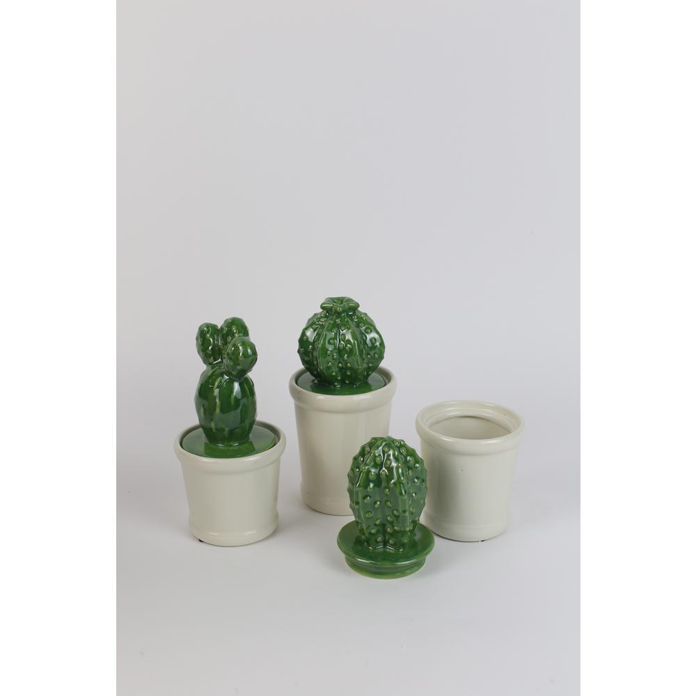 Ceramic Cactus Canister Set of 3
