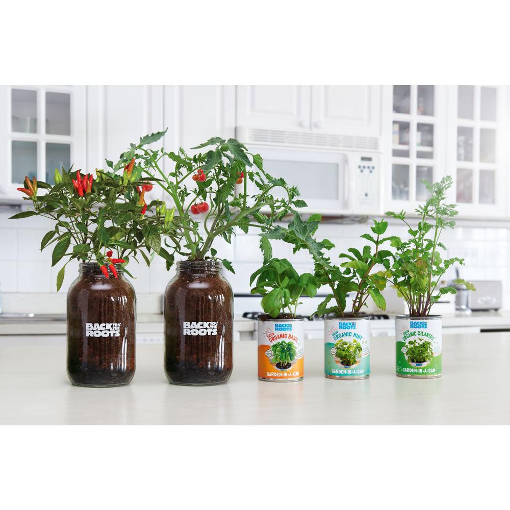 Back To The Roots Complete Herbs And Veggies Windowsill Grow Kit