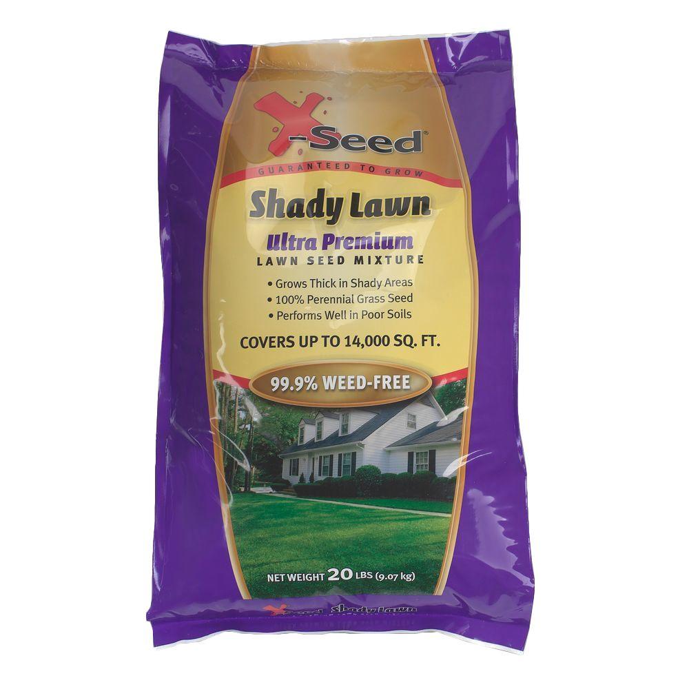 shady lawn seed