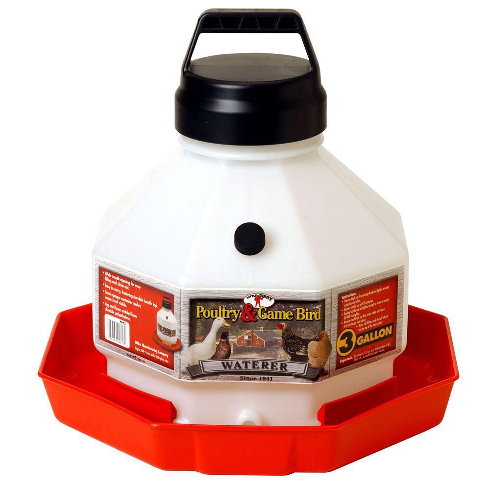 Little Giant 3 Gal. Plastic Poultry Waterer-PPF3 - The Home Depot