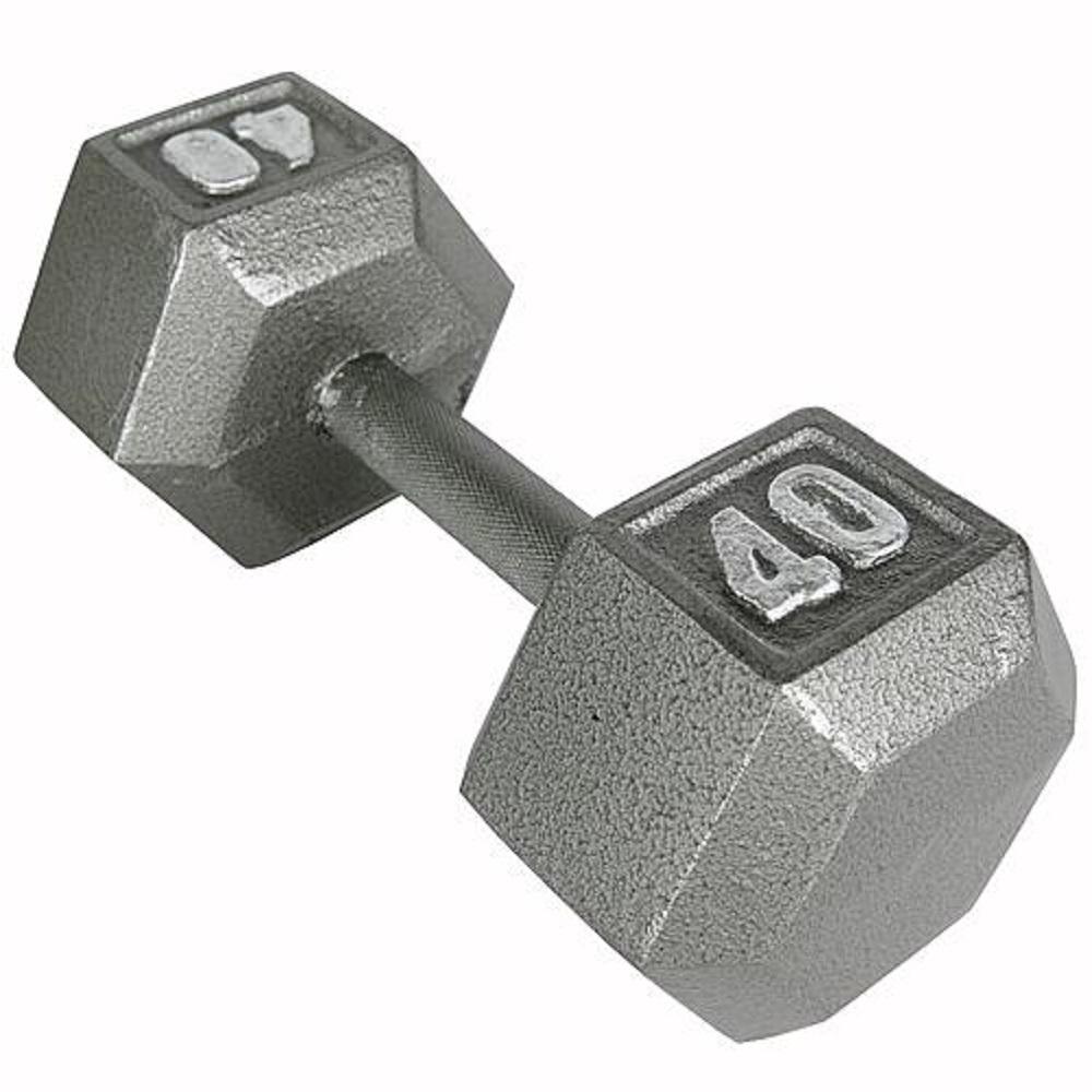 40 lb Cast Iron Hex Dumbbell Non Slip Surface Metal Workout Exercise
