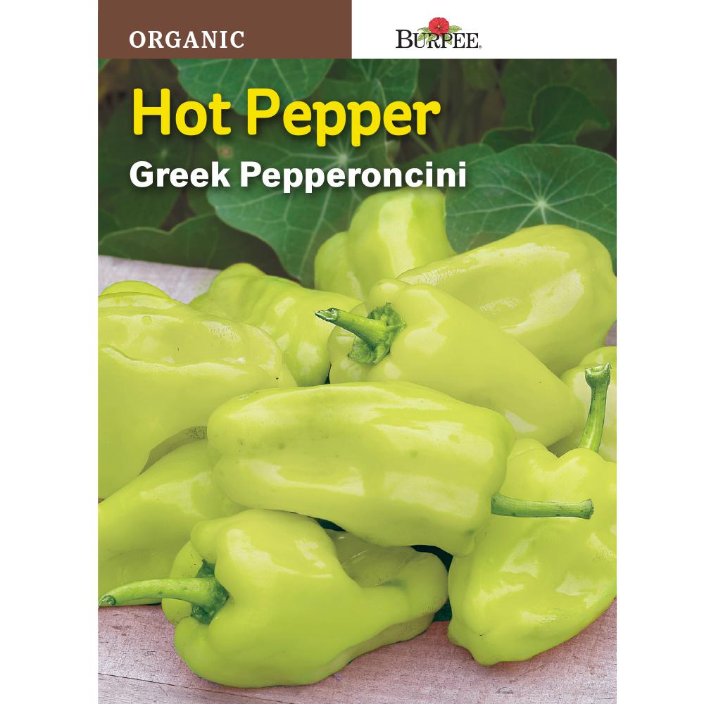 Greek Hot Long Horn Pepper /'/'Kafteri/'/' ~15 Top Quality Seeds Special for Grill