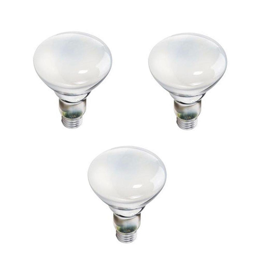 Soft White Flood And Spot Incandescent Light Bulbs 65 Watt Br30 Incandescent Indoor Flood Light Bulb