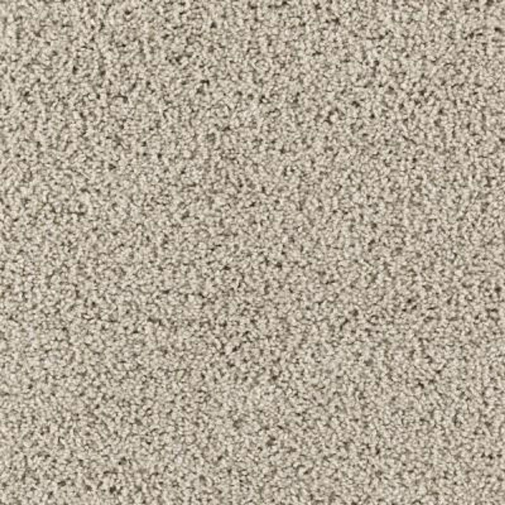 Infield I - Color Flintstone Texture 12 ft. Carpet-0348D-29-12 ...