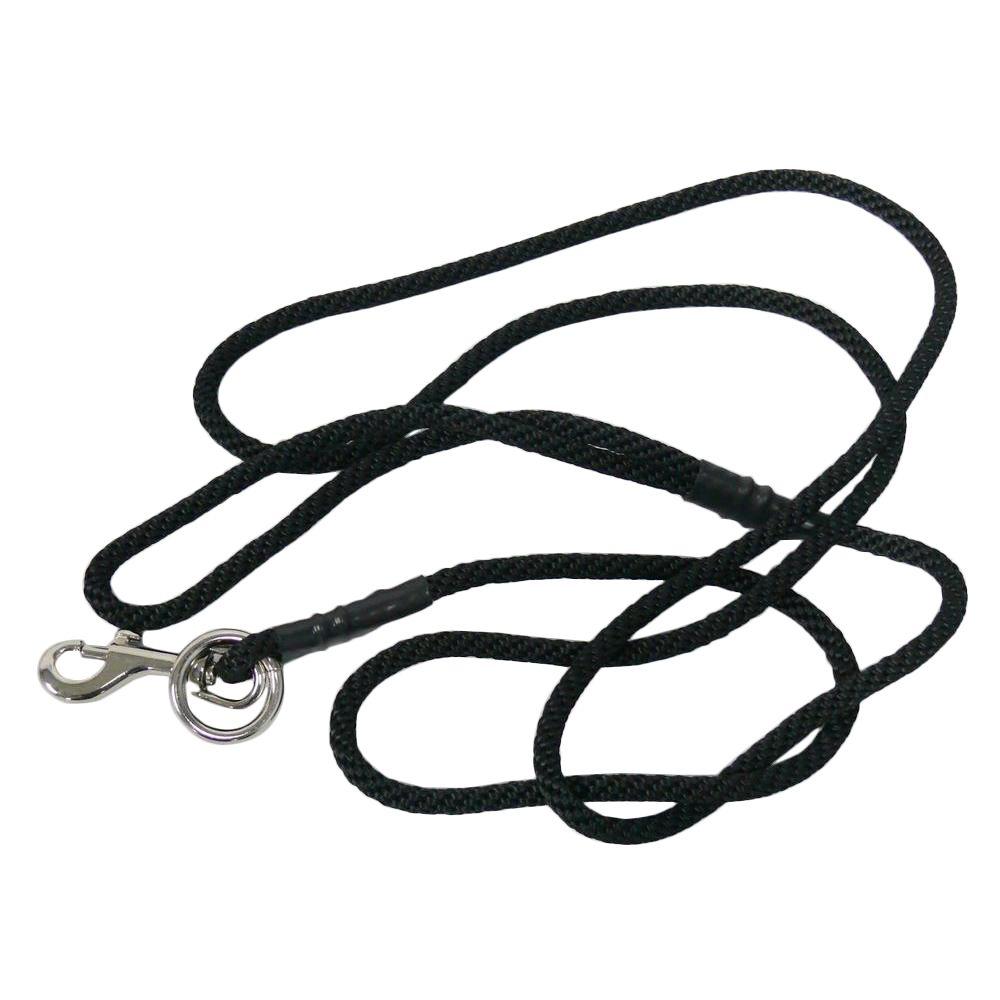 small dog leash