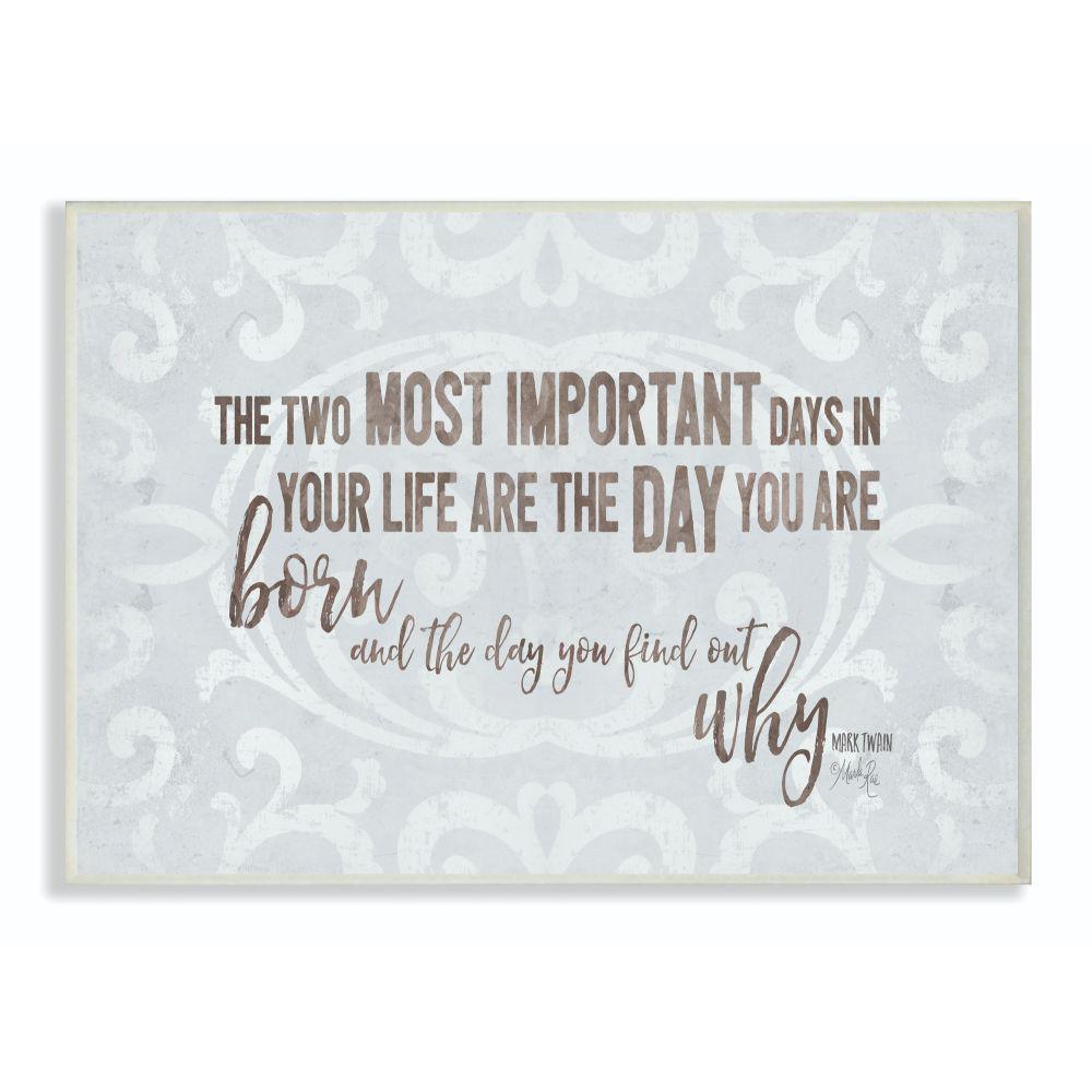The Stupell Home Decor Collection 10 In X 15 In Most Important Days Born And Why Inspirational Typography By Marla Rae Wood Wall Art Mwp 624 Wd 10x15 The Home Depot