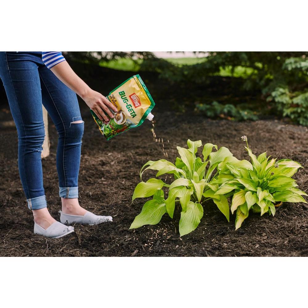 Is Garden Safe Slug And Snail Bait Safe For Dogs The Top Three Slug & Snail Traps, Baits