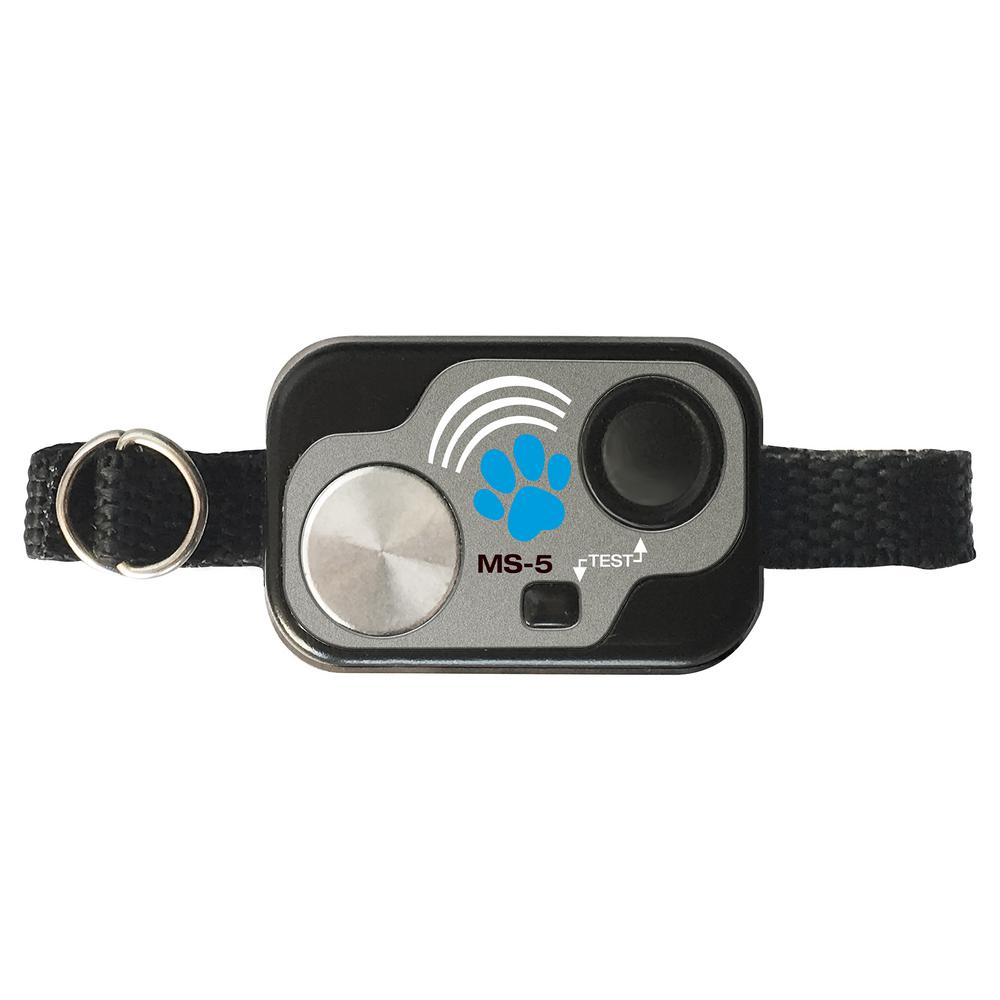 electronic dog door with collar
