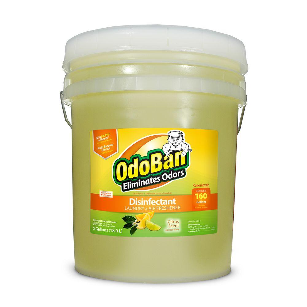 UPC 732109918169 product image for OdoBan 5 Gal. Citrus Disinfectant, Laundry and Air Freshener, Mold and Mildew Co | upcitemdb.com