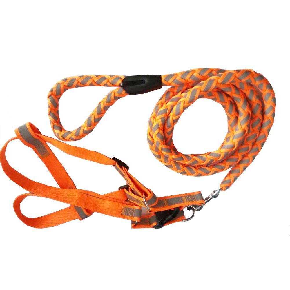 orange dog collar and leash