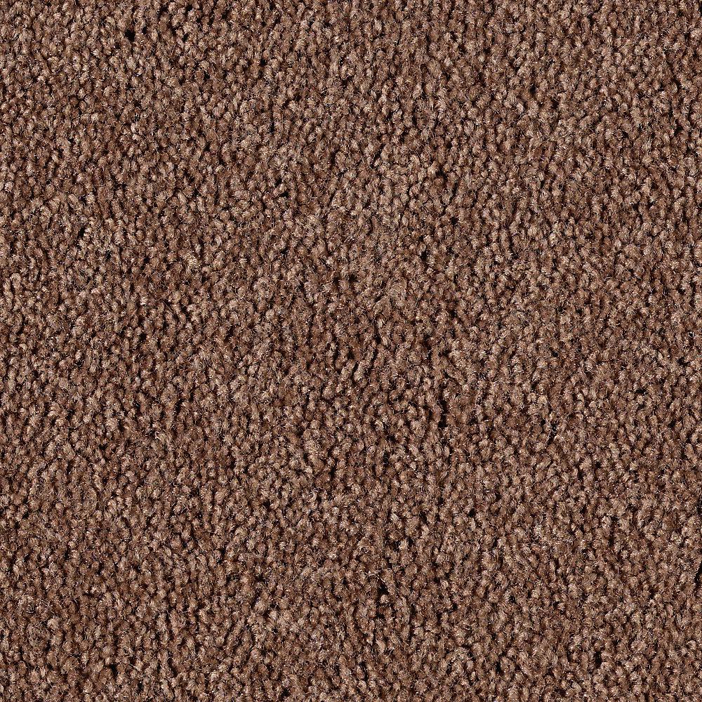  Home  Decorators  Collection  Carpet Sample Hypersonic 