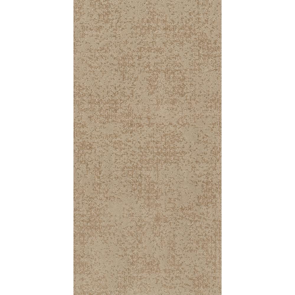 Shaw Elegant Dosinia Color Ecru Lace 12 ft. Pattern CarpetHDF3899721