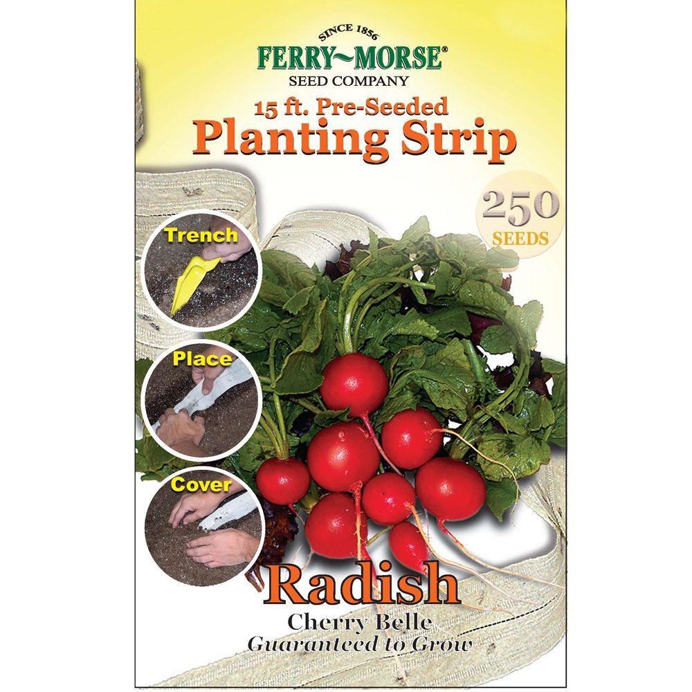 FerryMorse 15 ft. Radish Cherry Belle Seed Strip813 The Home Depot