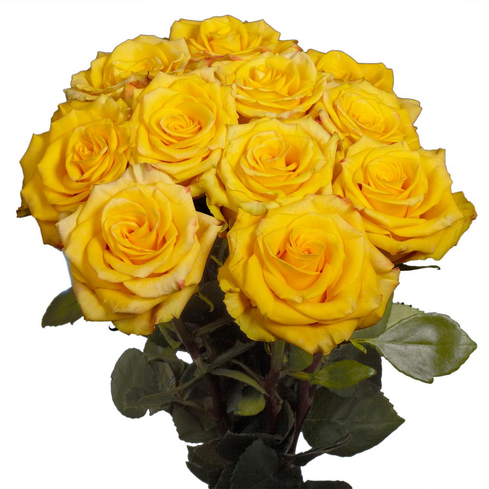 globalrose flower bouquets roses yellow 50 64_1000