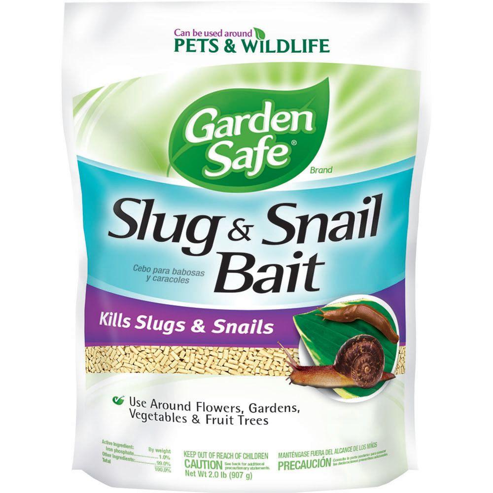 Slug bait home depot Clearance