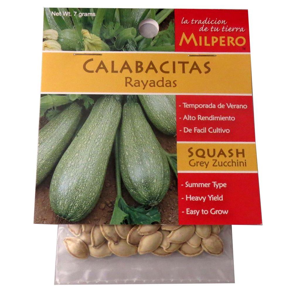 MILPERO Grey Zucchini Squash Seed780276 The Home Depot