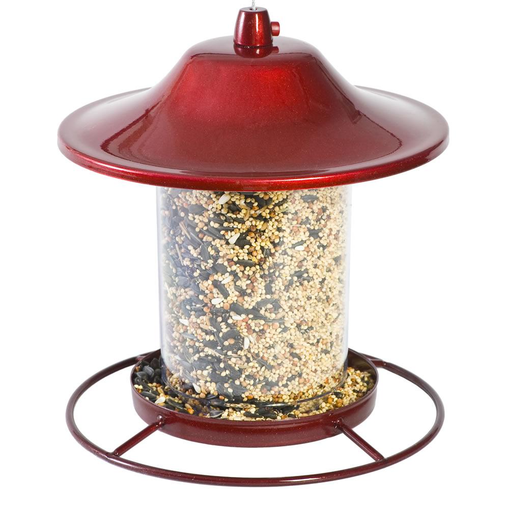 pet bird feeder