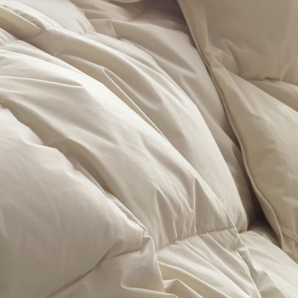 The Company Store Organic Light Warmth Natural Queen Down