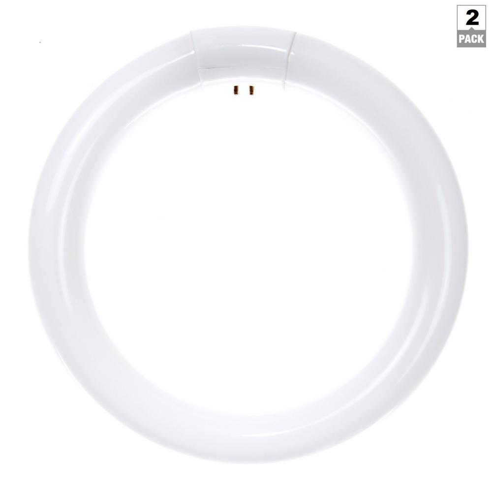 Sunlite 9 in. 30Watt Circline T9 Fluorescent Tube Light Bulb, Daylight