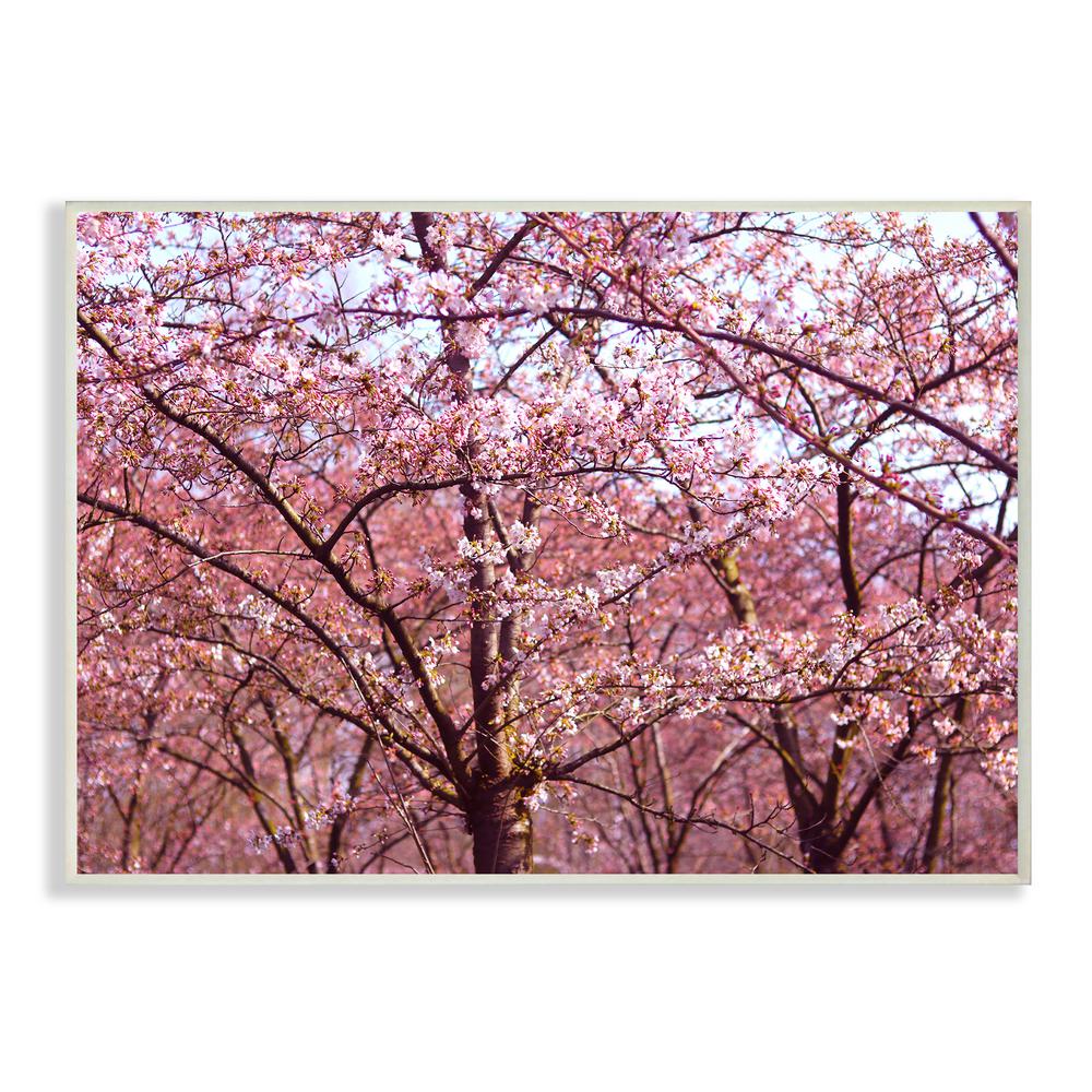 The Stupell Home Decor Collection 10 In X 15 In Pink Sky Cherry