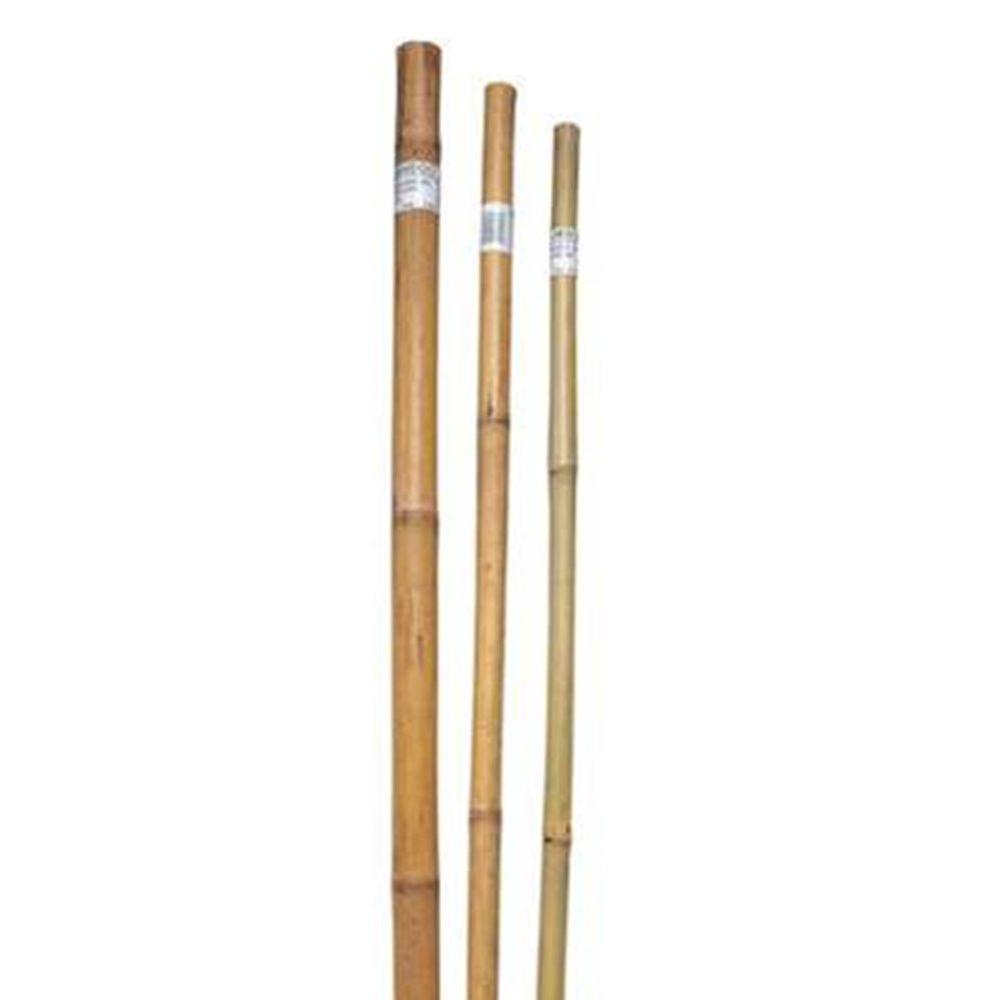 Backyard X-Scapes 1 in. x 8 ft. Natural Bamboo Poles (25-Pack ...